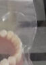 老年全口假牙展示品全口牙齒老人模型假牙教學(xué)義齒標準模型展示 全口 曬單實(shí)拍圖