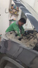 美孚（Mobil）銀美5W-30機(jī)油5L+機(jī)濾+空調(diào)濾+空氣濾+工時(shí)單次大保養(yǎng)12個(gè)月有效 曬單實(shí)拍圖