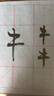 六品書(shū)院 水寫(xiě)毛筆練字布套裝書(shū)法仿宣紙加厚速干蘸水毛筆字帖水洗布米字格空白成人臨摹專(zhuān)用文房第五寶 曬單實(shí)拍圖