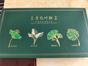 天色青色葉脈金屬書(shū)簽禮盒 伴手禮紀念品中國風(fēng)文創(chuàng  )禮物男女年會(huì )教師節生日送老師學(xué)生商務(wù)年會(huì )TS-5883 曬單實(shí)拍圖