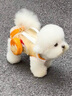 TOUCHDOG小香風(fēng)斜挎單肩寵物包外出便攜包小狗斜挎包狗狗小型犬貓包 布丁包（送零食包） M碼【建議7-12斤】 曬單實(shí)拍圖