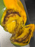 壹萌果蔬凱特芒芒果 當季現摘四川大芒果新鮮水果青芒果整箱送禮 5斤精品果【單果300g+】 凈4.5斤 曬單實(shí)拍圖