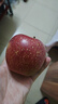 京覓四川鹽源大涼山丑蘋(píng)果鮮水果凈重4.5斤單果80mm+箱裝源頭直發(fā) 曬單實(shí)拍圖