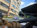 盯盯拍行車記錄儀MINIPro 3K超清夜視 WDR寬動態(tài)F1.55光圈 360度旋轉 曬單實拍圖