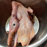新鮮冷凍正宗兩年以上老麻鴨水鴨農(nóng)家散養(yǎng)土鴨子老鴨子包郵 2年以上老麻鴨2斤/只*1只 曬單實(shí)拍圖