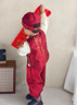 班喜迪男童漢服套裝秋裝新款嬰兒國風(fēng)唐裝寶寶周歲禮服兒童中式衣服春秋 紅色 90 cm 曬單實(shí)拍圖