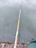達億瓦（DAIWA）一擊 輕量鯉魚(yú)鯽魚(yú)草魚(yú)羅非 進(jìn)口魚(yú)竿手桿 輕硬挺 休閑臺釣 3.6m 一擊F 36.K（綜合） 不支持使用/試用后退換貨 曬單實(shí)拍圖