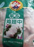 大用單凍雞大胸 2斤 冷凍生鮮 健身雞胸肉雞肉輕食 清真食品 白羽肉雞 曬單實(shí)拍圖
