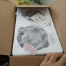 小熊（Bear）研磨機 家用磨粉機 打粉機 中藥粉碎機 料理機 干粉機 不銹鋼打粉研磨機FSJ-A05N6 曬單實(shí)拍圖