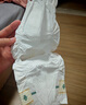 babycare皇室pro裸感拉拉褲XXL3片試用裝(>15kg)寶寶嬰兒尿不濕超薄透氣 曬單實拍圖