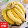 國產(chǎn)高山甜香蕉  新鮮水果 室溫放蘋(píng)果半密封催熟 9斤凈重 曬單實(shí)拍圖