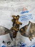 繽鮮 特大金蠔干新鮮大生蠔干貨 海蠣子牡蠣海鮮 山東特產(chǎn)煲湯生曬淡 精選大號蠔干500克約220-240/個(gè) 曬單實(shí)拍圖