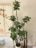 愛(ài)優(yōu)尚鋁絲造型鴨腳木客廳大盆栽辦公室內鴨掌木八方來(lái)財源頭直發(fā) 曬單實(shí)拍圖