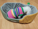 MIKI PAD狗狗衣服秋冬條紋針織背心貓咪衣服寵物毛衣小型犬比熊泰迪雪納瑞 彩虹條紋毛衣 M 胸圍38cm(參考體重7-10斤) 曬單實(shí)拍圖
