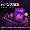 WPS大會(huì )員4年 含超級會(huì )員所有功能+WPS AI 圖片處理PDF編輯轉換文檔修復批量輸出長(cháng)圖1T云空間 海量模板資源 兌換碼發(fā)貨 WPS大會(huì )員4年 曬單實(shí)拍圖