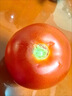 京地達西紅柿普羅旺斯西紅柿山東番茄凈重3斤單果120g+蔬菜源頭直發(fā)包郵 曬單實(shí)拍圖