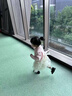 G.DUCKKIDS童裝女童套裝春秋季兒童衣服女小童秋裝連衣裙套裝女孩開(kāi)衫兩件套 綠色毛衣+連衣裙 90 尺碼1~2歲【 80-90cm】cm 曬單實(shí)拍圖