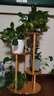 樂(lè )愛(ài)家簡(jiǎn)易落地花架客廳多層綠植花盆架簡(jiǎn)約楠竹陽(yáng)臺吊籃架子置物層架 曬單實(shí)拍圖
