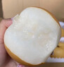 正宗秋月梨新鮮水果山東萊陽(yáng)禮盒裝當季冰糖羊脂梨子大果5/10斤整 10斤 【精選大果王】非常稀有丨老樹(shù)大果 曬單實(shí)拍圖