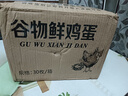 新鮮農家谷物鮮雞蛋  現撿現發(fā) 破損包賠  營(yíng)養早餐 30枚裝（3斤） 曬單實(shí)拍圖