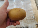 佳沛（zespri）新西蘭  陽(yáng)光金果22粒原箱 單果重144-175g 獼猴桃 中秋水果禮盒 曬單實(shí)拍圖