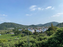 優(yōu)衣庫男女裝大師T AIRism寬松圓領(lǐng)T恤五分袖短袖475355 465185 475355/00白色 M /170/92A 曬單實(shí)拍圖