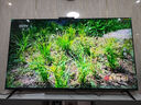 華為Vision智慧屏 5 SE 65英寸 鴻蒙AI搜片MiniLED鴻鵠畫質(zhì)國家補(bǔ)貼MateTV同源投屏平板電視機(jī)HD65KULU 曬單實(shí)拍圖