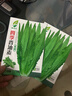 蔬菜種子四季播盆栽陽(yáng)臺庭院香菜生菜菠菜小蔥簡(jiǎn)單秋易種籽孑大全 油麥菜種子2包約2000粒 曬單實(shí)拍圖