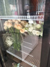 維仕美【已補貼20%】商用升級版鮮花保鮮柜展示柜保鮮柜冷藏柜鮮花柜商用冰箱花店鮮花展示柜放蛋糕鮮花 輕奢-超大三門(mén)-無(wú)需排水1860*600*2010 2025冠軍推薦豪華款 曬單實(shí)拍圖
