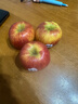 愛(ài)妃 新西蘭蘋(píng)果一級果6粒裝禮盒 單果230g起 新鮮水果禮盒 源頭直發(fā) 曬單實(shí)拍圖