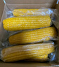 佳農 內蒙黃糯玉米棒8袋*220g 軟糯香甜 真空鎖鮮 源頭直發(fā) 禮盒包郵 曬單實(shí)拍圖