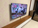 津贏(yíng) 電視掛架固定壁掛架電視支架小米海信創(chuàng  )維索尼樂(lè )視康佳TCL海爾華為智慧屏液晶壁掛架40-75英寸 曬單實(shí)拍圖