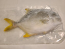 翔泰海南深海金鯧魚(yú)700g 2條 火鍋 生鮮魚(yú)類(lèi) BAP認證 海鮮水產(chǎn) 中秋 曬單實(shí)拍圖