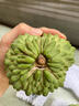 果益壽廣東鳳梨釋迦果牛奶冰淇淋釋迦摩尼大目佛頭番荔枝送禮整箱 凈重2斤 優(yōu)選4-6個(gè) 單果3-5兩 核心產(chǎn)區直發(fā) 曬單實(shí)拍圖