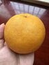 京地達山東萊陽(yáng)秋月梨8斤單果400g+新鮮水果脆甜梨子大果源頭直發(fā)包郵 曬單實(shí)拍圖