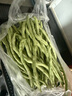 新鮮現摘四季豆角農家蔬菜九月青油豆角整箱蔬菜生鮮源頭直發(fā) 云南四季豆新鮮現摘【帶箱2斤】 曬單實(shí)拍圖