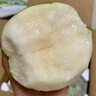 (產(chǎn)地直發(fā))寧陵酥梨新鮮現摘脆甜無(wú)渣單果250-500g壞果包賠 曬單實(shí)拍圖