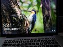 Apple Macbook Pro15寸二手蘋(píng)果筆記本電腦視網(wǎng)膜2K屏獨顯設計渲染剪輯應用開(kāi)發(fā) 15款MJLU2頂配i7-2.8/16G-1TB銀 95成新 曬單實(shí)拍圖