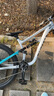 GUARD DOG Z看門狗2杜賓PRO軟尾山地車競(jìng)技?xì)獠嫠幕钊偷?7.5寸11速速降越野 閃電銀 27.5寸 曬單實(shí)拍圖