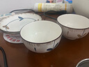 賀川屋碗碟套裝家用盤(pán)子碗套裝日式釉下彩餐具整套 10頭蘭亭序 曬單實(shí)拍圖