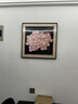 畫(huà)尚美《粉葡萄》中古風(fēng)餐廳裝飾畫(huà)客廳水果藝術(shù)掛畫(huà)法式復古感臥室壁畫(huà) 粉色葡萄A-ZF2639 30*30 曜石黑框-主圖款 優(yōu)質(zhì)油畫(huà)布面 曬單實(shí)拍圖