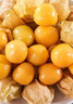 東北姑娘果新鮮當季水果黃菇娘燈籠果酸甜可口甜菇娘特產(chǎn)京東包郵 【帶箱3斤】東北姑娘果 曬單實(shí)拍圖