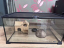 REPTIZOO爬蟲(chóng)飼養箱爬寵蜥蜴守宮蛇烏龜玻璃爬缸倉鼠刺猬角蛙寄居蟹飼養盒 50x30x25cm-水陸兩用 亞成體選擇 曬單實(shí)拍圖