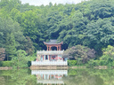 聯(lián)通中國聯(lián)通流量卡全國通用純流量上網(wǎng)卡本地歸屬卡手機5G電話(huà)卡無(wú)合約低月租卡 廣東大流量19元188G全國通用100分鐘省外勿拍 曬單實(shí)拍圖