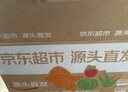 京鮮生海南板栗薯5斤150~350克/條 沙地種植黃心紅薯源頭直發(fā)包郵 曬單實(shí)拍圖