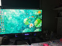 泰坦軍團24.5英寸 1152分區(qū) MiniLED 2K 320Hz DyDs技術 RGB背光燈 升降旋轉1msGTG專業(yè)電競顯示器P245MS+  曬單實拍圖
