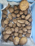 京地達山東牛奶小芋頭凈重5斤中果單果30g+細膩粉糯源頭直發(fā)包郵 曬單實(shí)拍圖