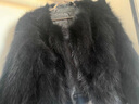 離境天大碼女裝300斤皮草秋冬女裝上衣兔毛真皮草外套女短款新款韓版 黑色 S 85斤以下 曬單實(shí)拍圖