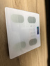 體重秤米家APP體脂秤電子秤體重秤秤體重智能體脂秤稱重精準宿舍家用減肥專用小米智聯(lián)精準體脂秤 【爆款】米家APP體脂秤 充電 特厚鋼化玻璃 曬單實拍圖