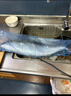 東上御品 山東 大黃金鲅魚(yú)凈重6-8斤/1條海魚(yú) 冷凍大鲅魚(yú)海鮮-源頭直發(fā) 曬單實(shí)拍圖